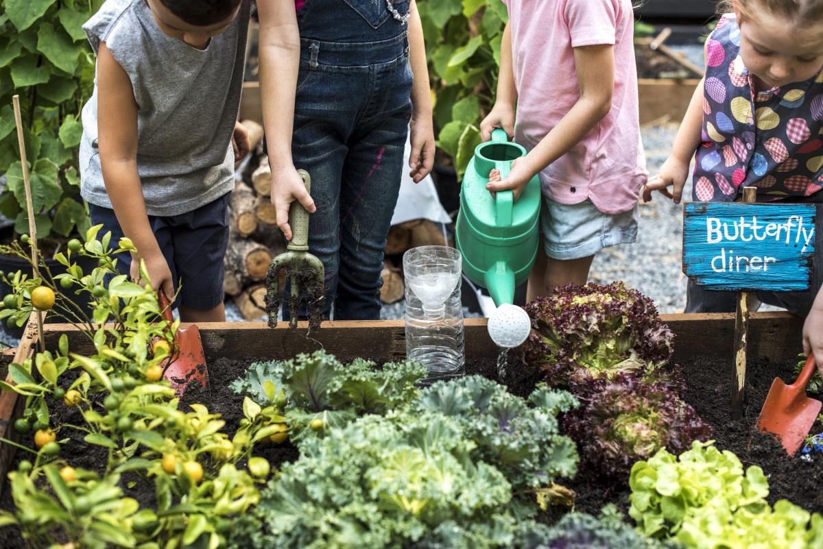 food_watering_0.jpg