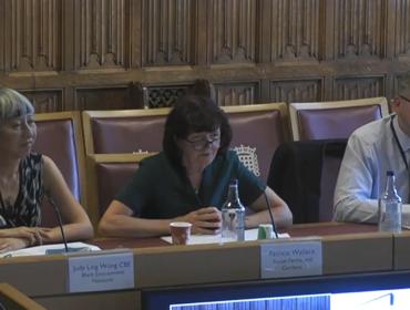 patricia sat speaking in the house of lords committee