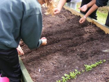 child planting seeds in garden education