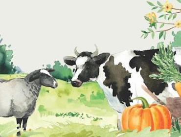 A watercolour drawing of farm animals including a cow and sheep