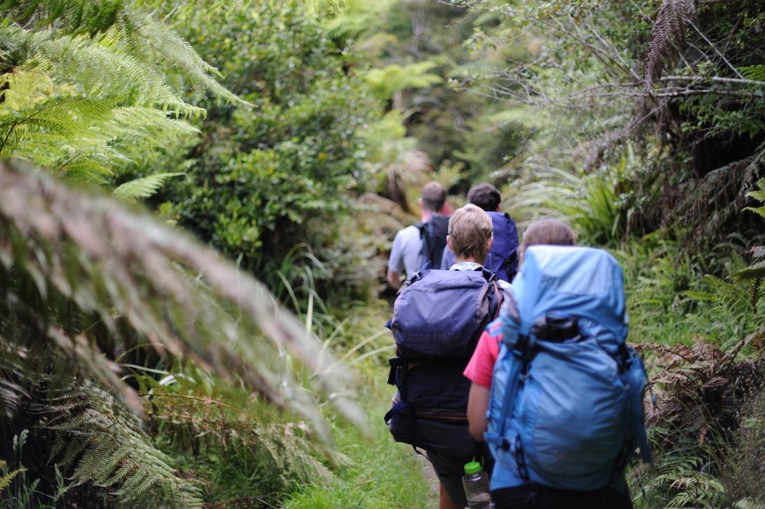 group of people walking amongst trees and nature